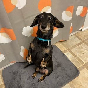 Meet your Posher, Melanie